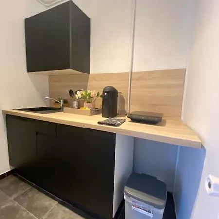 Le Charmant Studio Troyen Apartment Troyes
