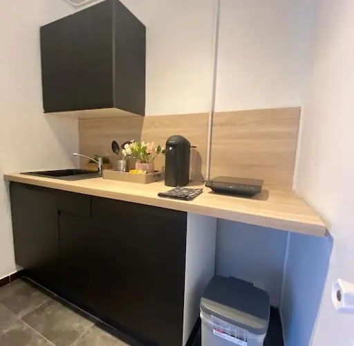 Le Troyen Apartment Troyes